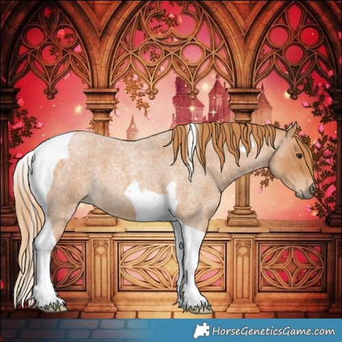 Horse Color:Red Roan Tobiano 