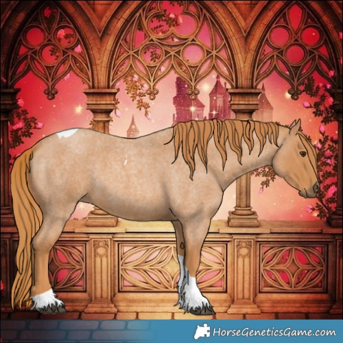 Horse Color:Red Roan Tobiano 