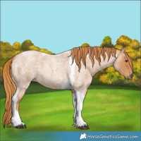 Horse Color:Red Roan Tobiano 