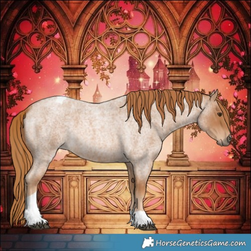 Horse Color:Red Roan Tobiano 