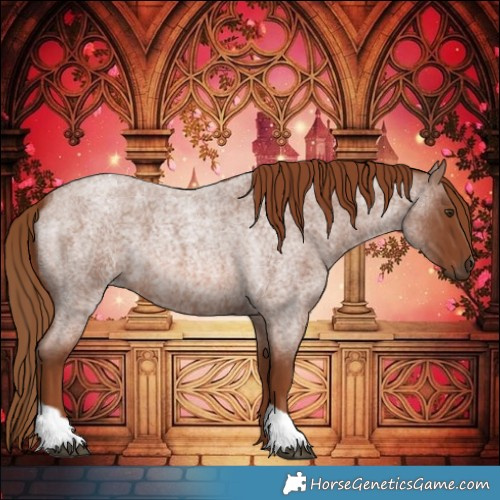 Horse Color:Red Roan Tobiano 
