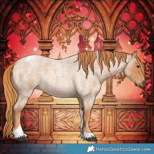 Horse Color:Red Roan Tobiano 