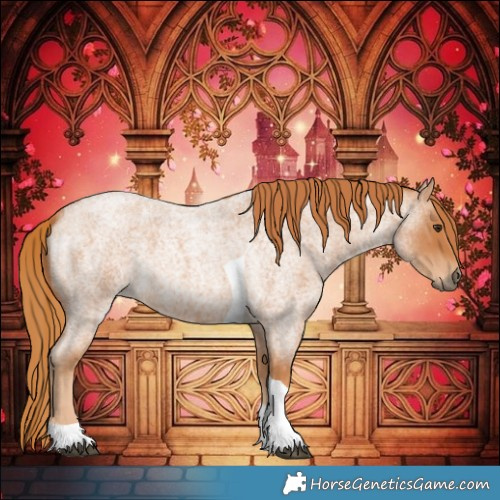 Horse Color:Red Roan Tobiano 