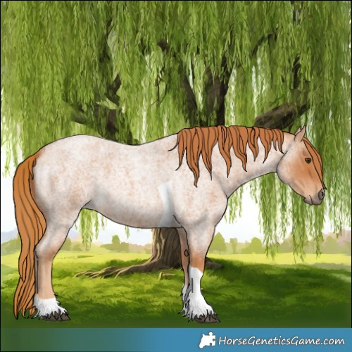 Horse Color:Red Roan Tobiano 