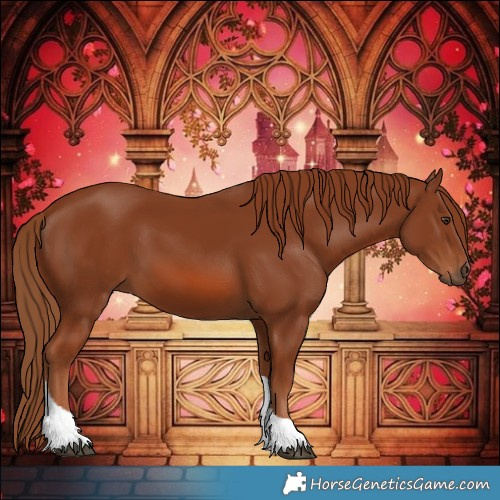 Horse Color:Chestnut Tobiano 