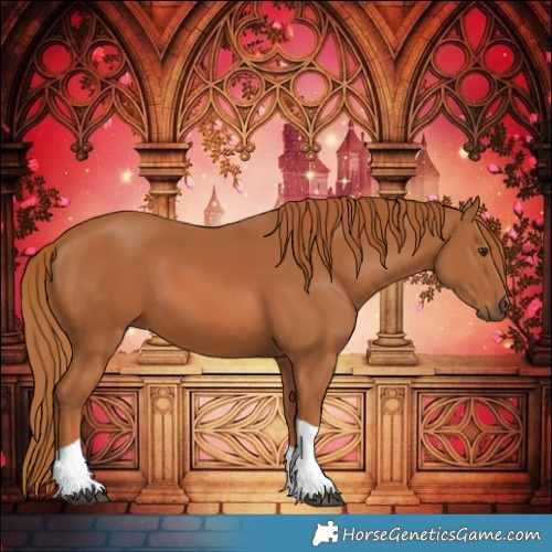 Horse Color:Chestnut Tobiano 