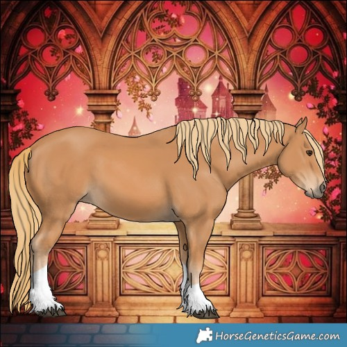 Horse Color:Chestnut Tobiano 