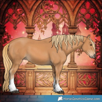Horse Color:Chestnut Tobiano