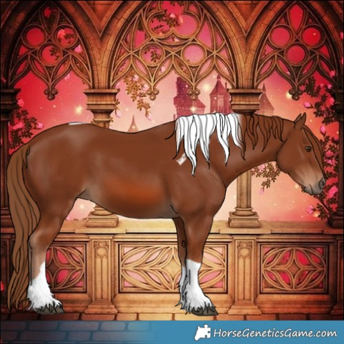 Horse Color:Chestnut Tobiano 