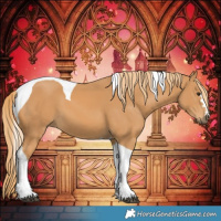 Horse Color:Chestnut Tobiano 