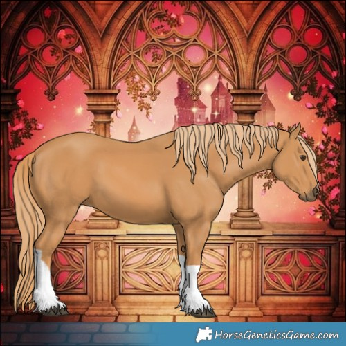 Horse Color:Chestnut Tobiano 