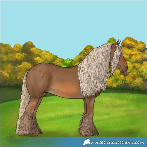 Horse Color:Chocolate Palomino 