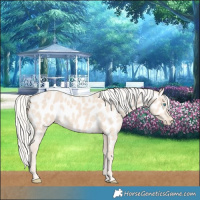 Horse Color:Cremello Near Leopard 