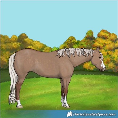 Horse Color:Silver Grullo