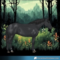Horse Color:Black 