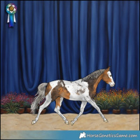 Horse Color:Silver Buckskin Splash Tobiano 