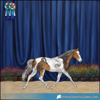 Horse Color:Silver Buckskin Splash Tobiano 