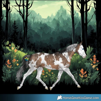 Horse Color:White Spotted Bay Dun Splash
