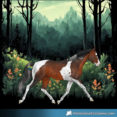 Horse Color:Bay Splash Tobiano