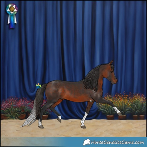Horse Color:Bay Tobiano 