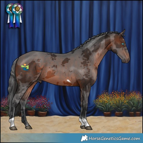 Horse Color:Brown Merle Tobiano 