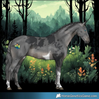 Horse Color:Black Merle Tobiano 