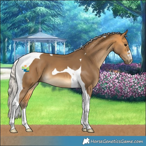 Horse Color:Silver Buckskin Tobiano 
