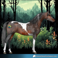 Horse Color:Brown Merle Tobiano