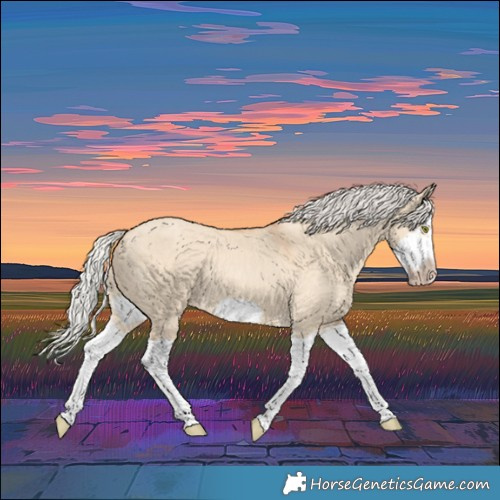 Horse Color:Silver Classic Champagne Dun Splash Frame 