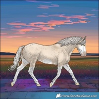 Horse Color:Silver Classic Champagne Dun Splash Frame