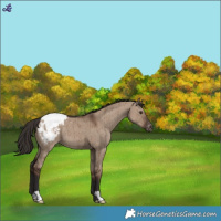 Horse Color:Liver Red Dun Varnish Brindle 