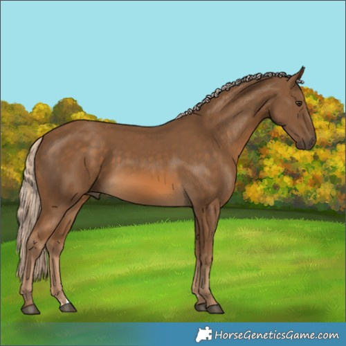 Horse Color:Chocolate Palomino
