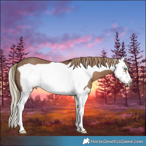 Horse Color:Liver Red Dun Splash Frame 