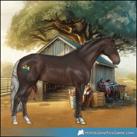 Horse Color:Silver Brown