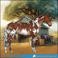 Horse Color:White Spotted Silver Bay 