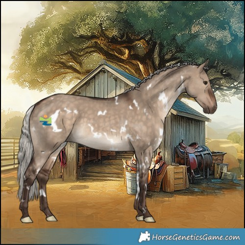 Horse Color:White Spotted Silver Brown Dun 