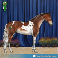 Horse Color:Silver Bay Tobiano
