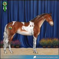 Horse Color:Silver Bay Tobiano 
