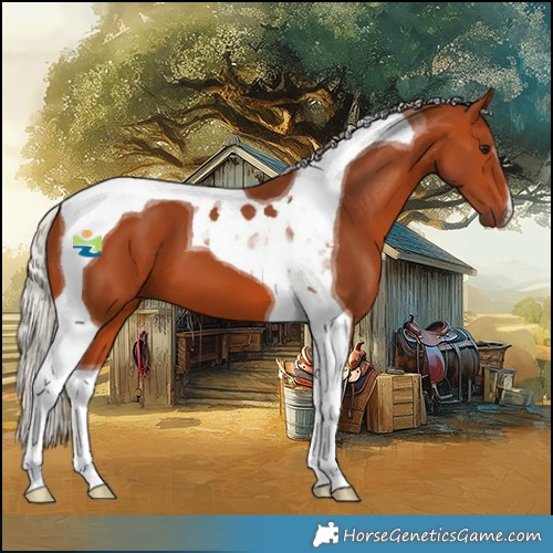 Horse Color:Silver Bay Tobiano 