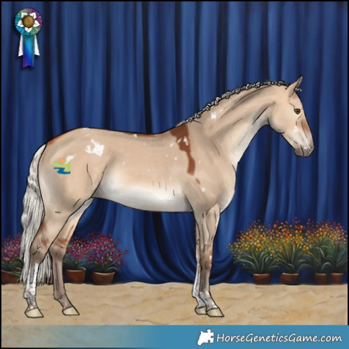 Horse Color:White Spotted Silver Bay Dun Tobiano 