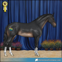 Horse Color:Brown 