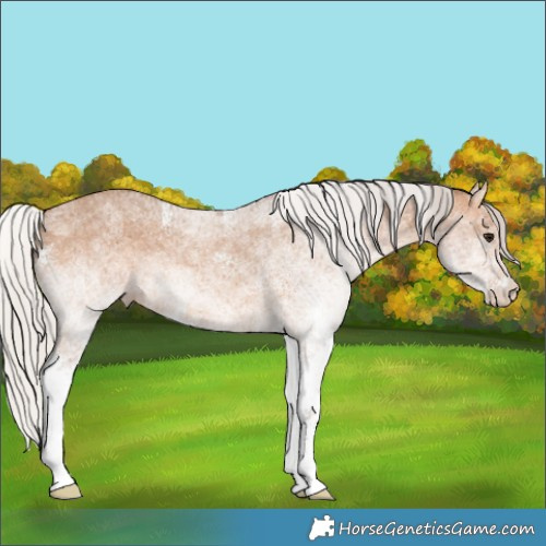 Horse Color:White Spotted Silver Brown Dun 