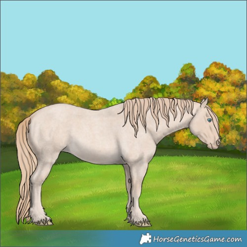 Horse Color:Perlino Roan 