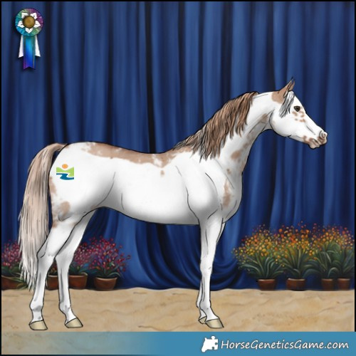 Horse Color:Red Dun Sabino Splash Frame 
