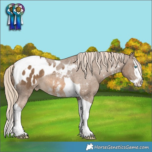 Horse Color:Chocolate Palomino Sabino Splash Tobiano Blanket 