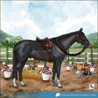 Horse Color:White Spotted Brown Tobiano 