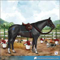 Horse Color:White Spotted Brown Tobiano 