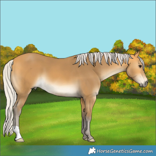 Horse Color:Silver Buckskin