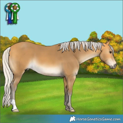 Horse Color:Silver Buckskin