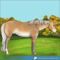 Horse Color:Silver Buckskin 